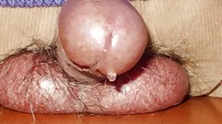 熱門口交為沈默的傢伙色情