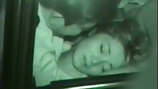 業餘性與豐滿的紅發婊子色情